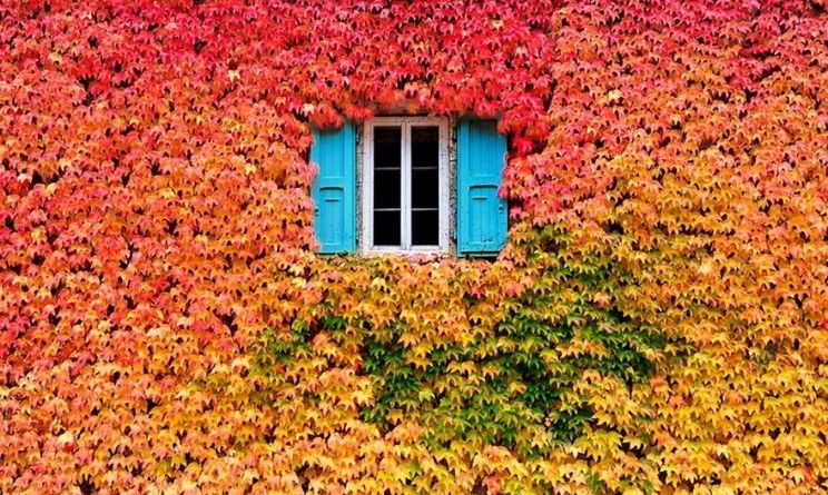 Una finestra sul mondo