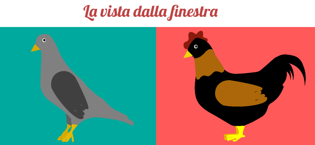 scambio casa scambio casa