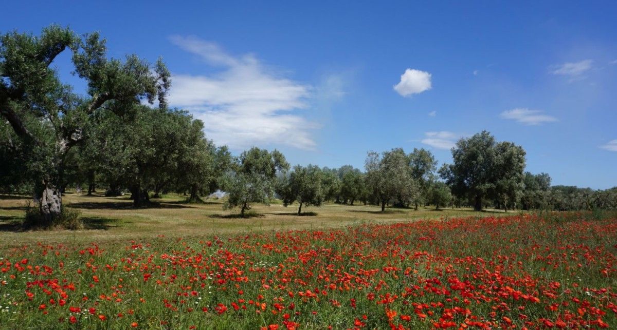 Il viaggio di Rosalba a Lecce.
