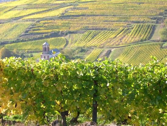 cose-insolite-da-fare-a-bordeaux