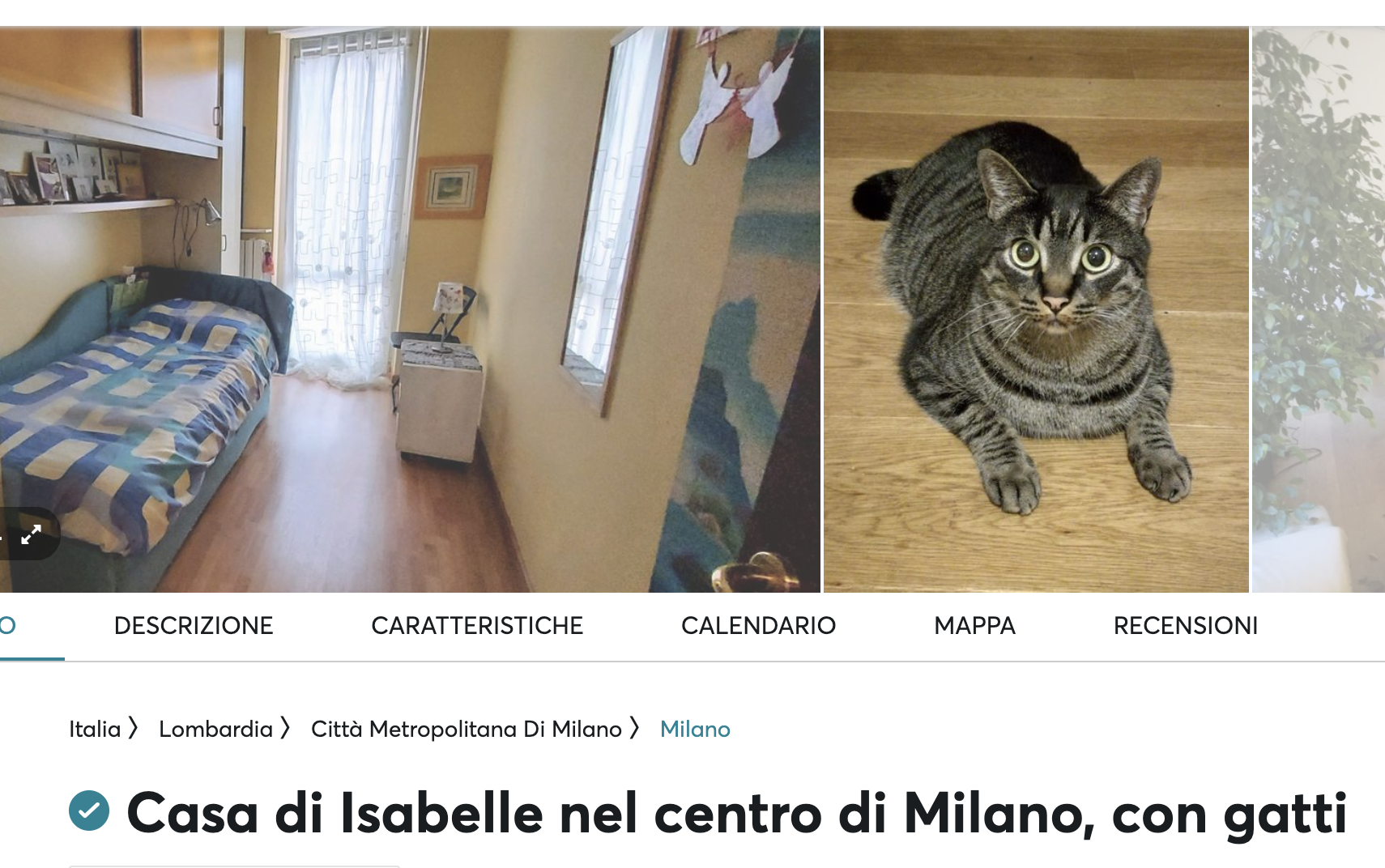 Come migliorare l'annuncio della tua casa - Screen della gallery di un annuncio con il gatto in copertina