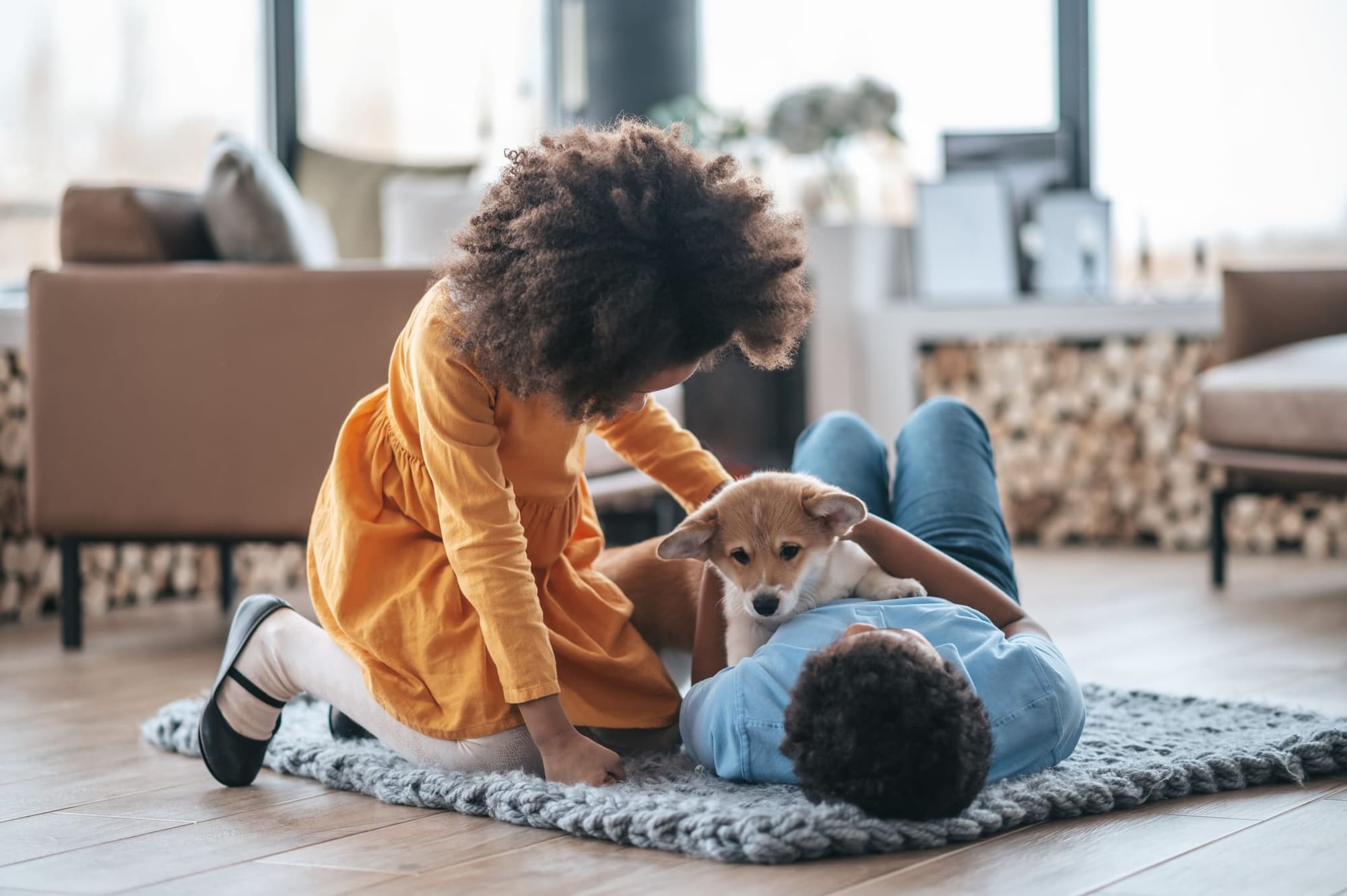 Pet sitting durante le vacanze: scambia la tua casa!