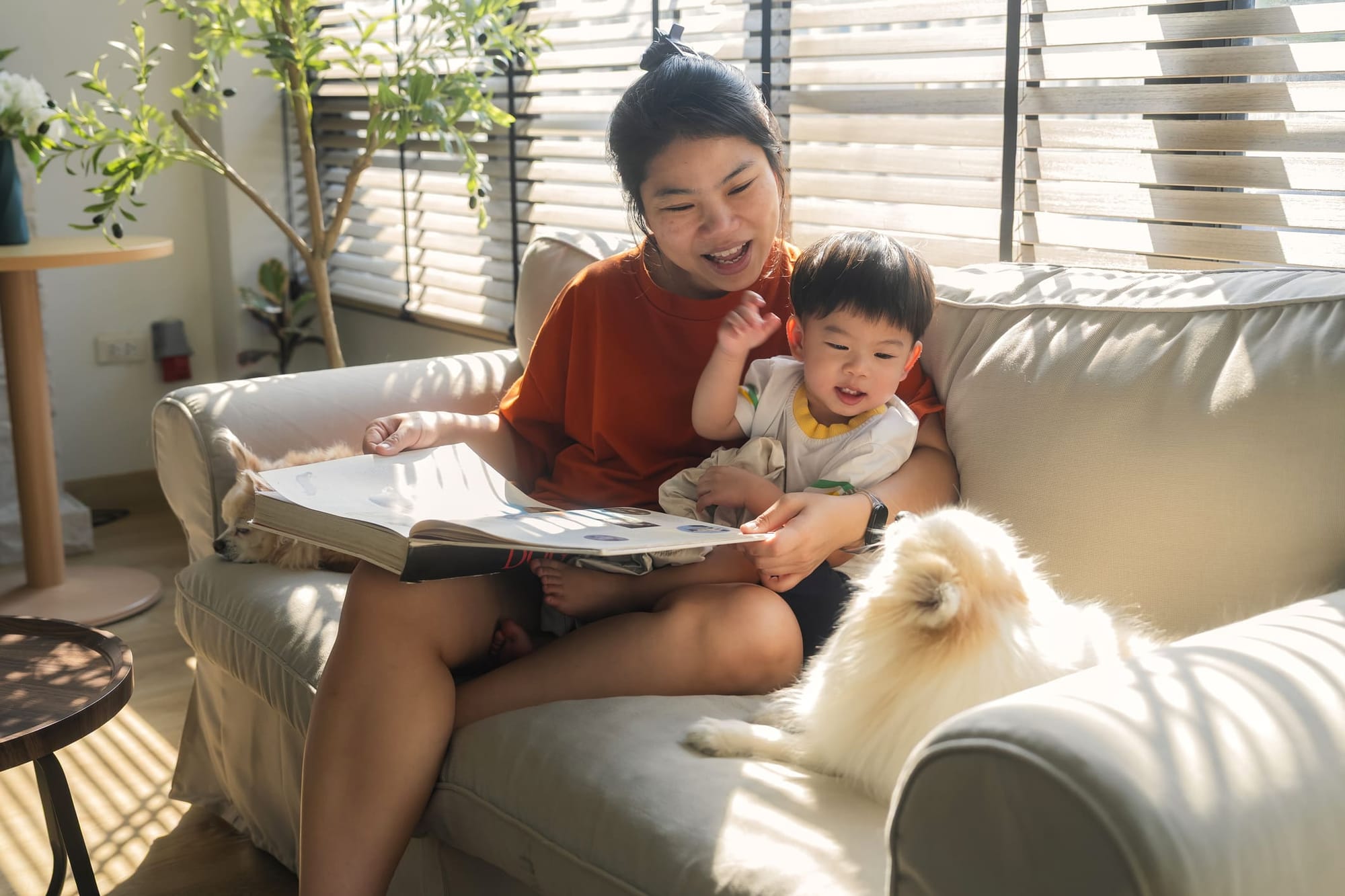 Pet sitting durante le vacanze: scambia la tua casa!